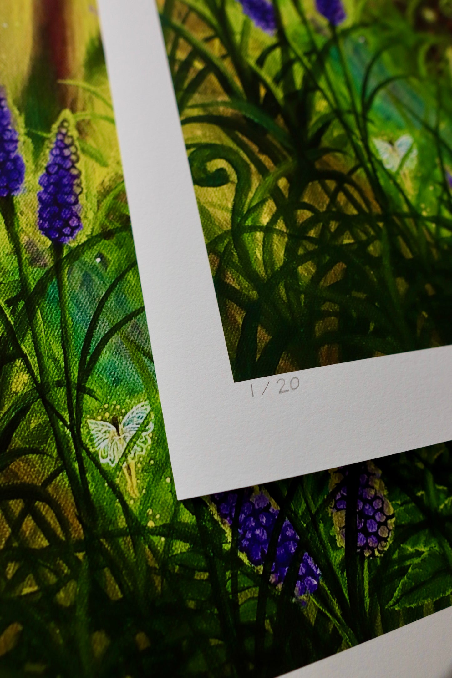 Sacred Groves Limited Edition Fine Art Print 🎨🌱🧚🏽♂️